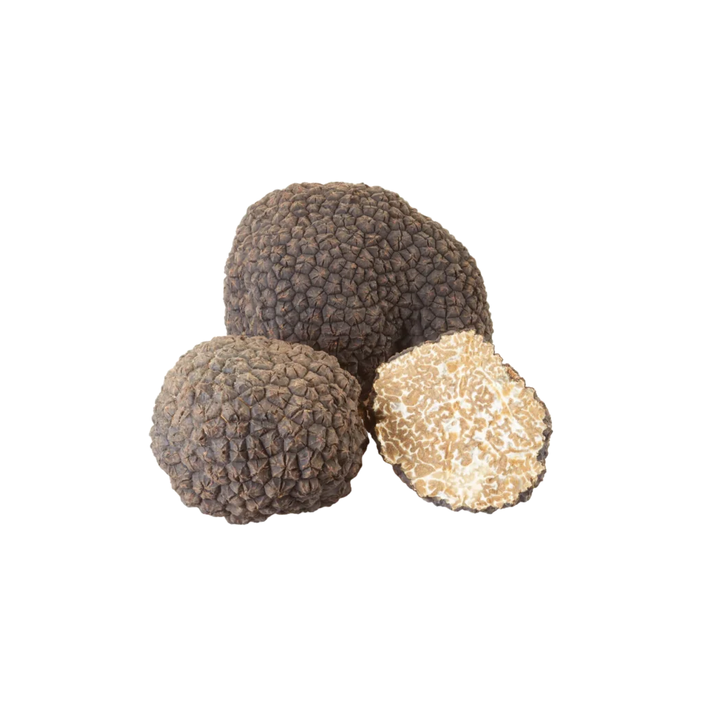 BLACK SUMMER TRUFFLE
